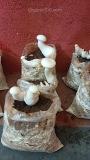 Our organic mushroom trials are in progress