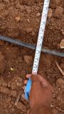 Right plant population from right plant spacing