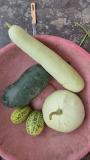 Sample picks of recent crops
