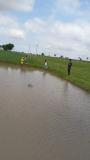 Seeding in paddy nursery