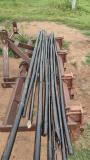 Staking bamboos preparation