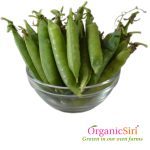 Organic Batani Pods