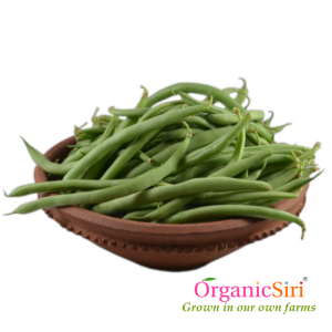 organic beans