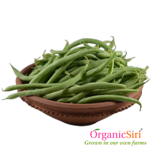 organic beans