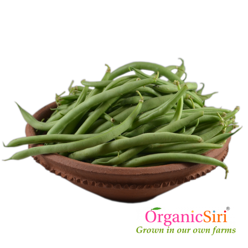 Beans 500g 1 organic beans