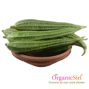 Organic Vegetables in Hyderabad - 3 reasons for limited supply 7 beera