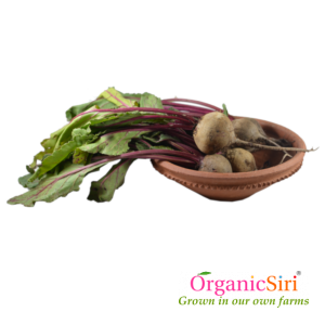 Organic Beetroot