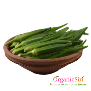 Organic Bhendi