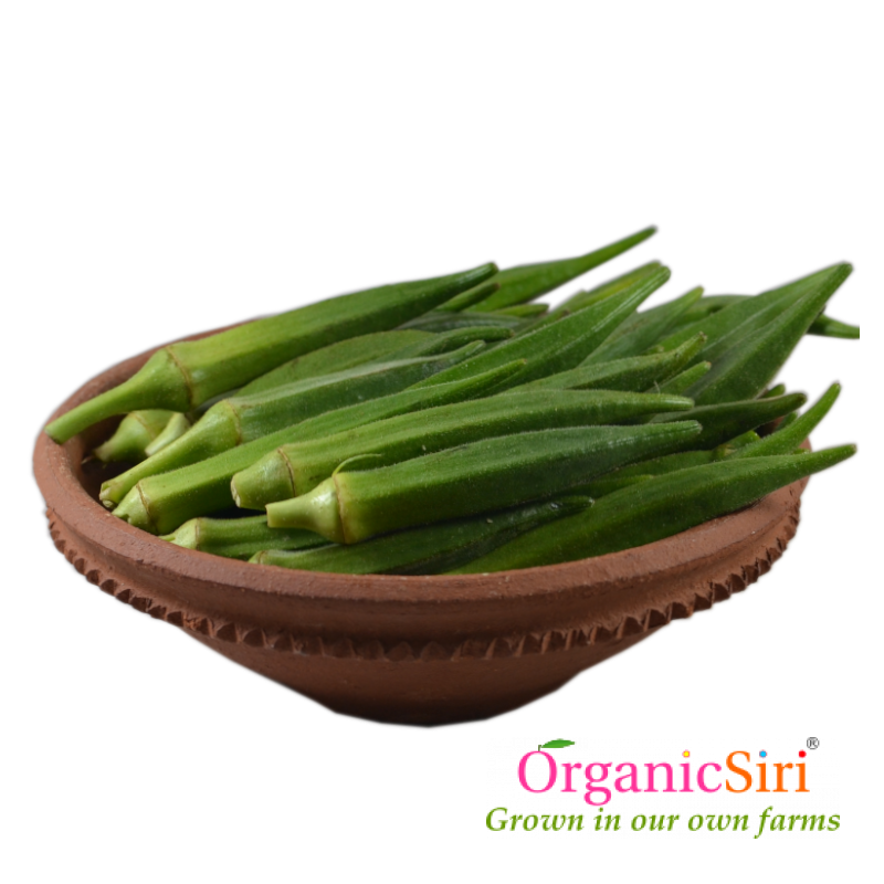 Bhendi 500g 1 Organic Bhendi