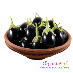 Organic Brinjal Round Black