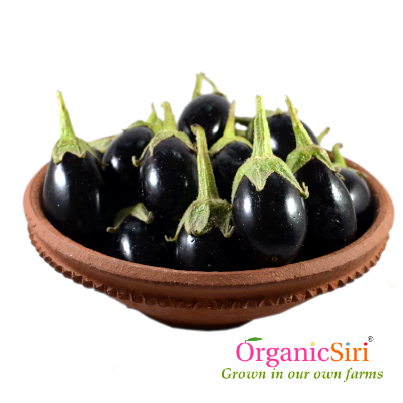 Brinjal Round Black 500g 1 Organic Brinjal Round Black