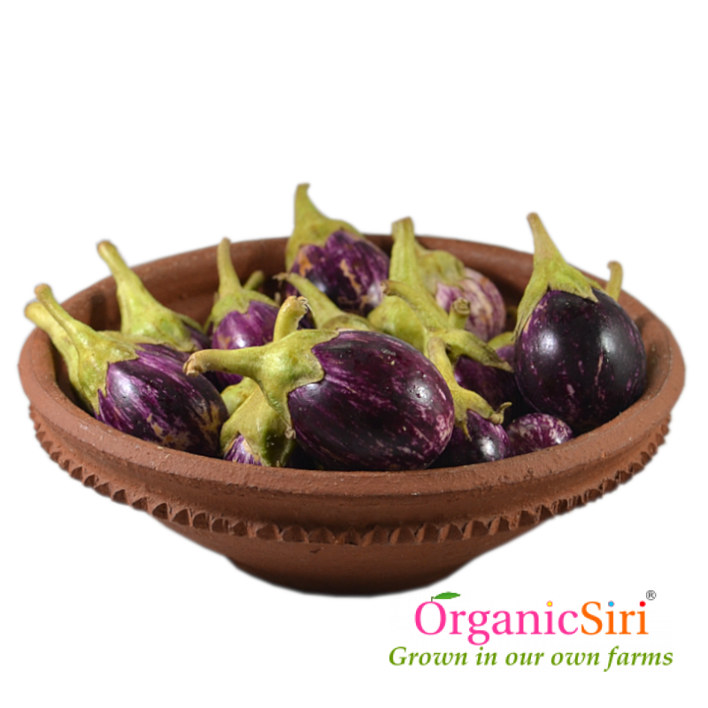Brinjal Round Striped 500g 1 Organic brinjal round purple striped