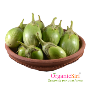 Organic Round Green Brinjal