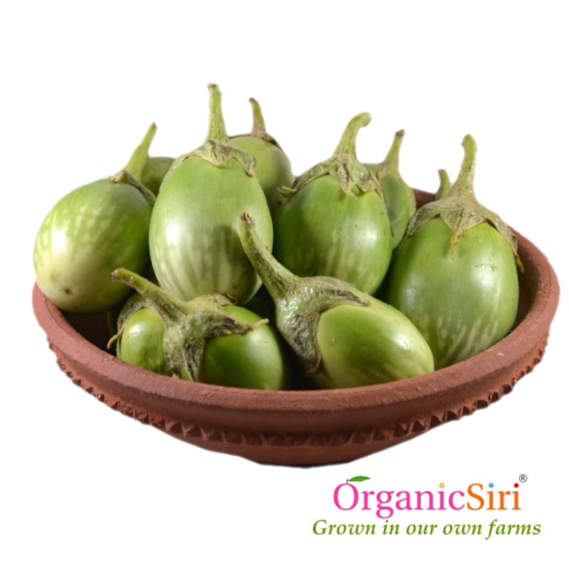 Brinjal Round Green 500g 1 Organic Round Green Brinjal