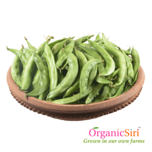 Organic Broad Beans