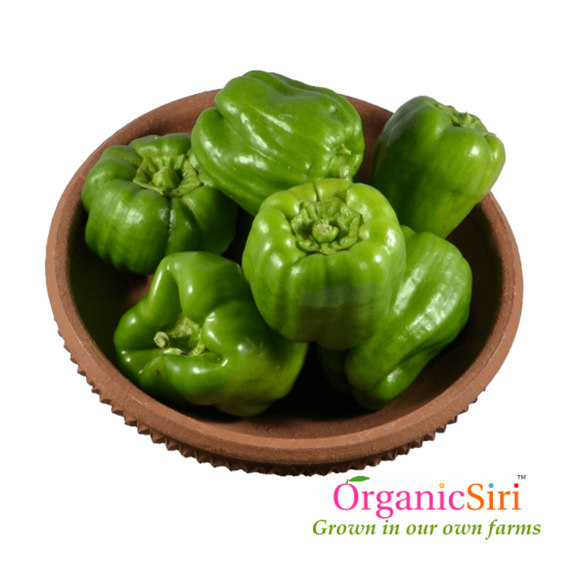 Capsicum 500g 1 Organic Capsicum