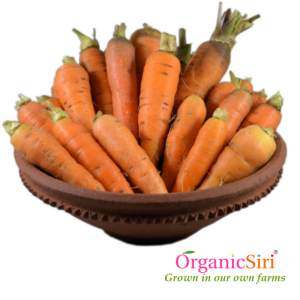 Organic Carrot