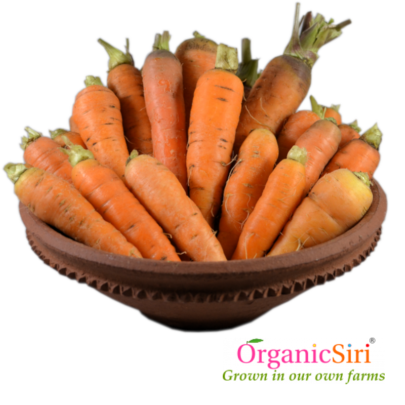 Carrot 500g 1 Organic Carrot