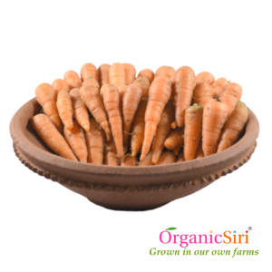 Organic Baby Carrot