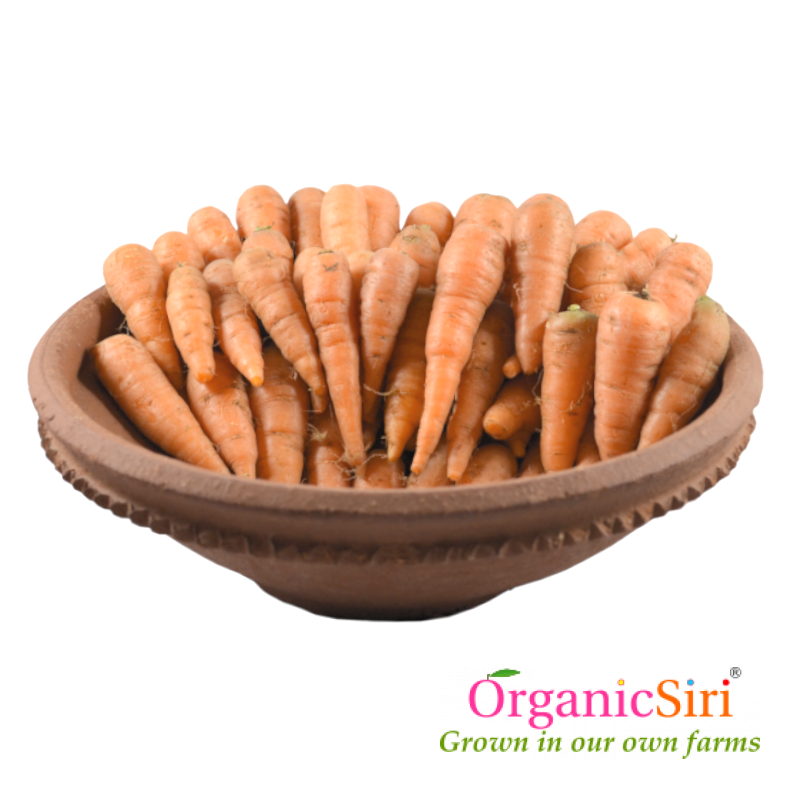 Carrot Baby 500g 1 Organic Baby Carrot