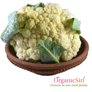 Organic Cauliflower