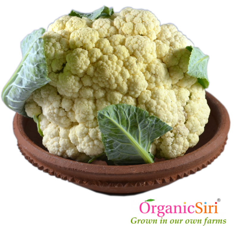 Cauliflower 1pc 1 Organic Cauliflower
