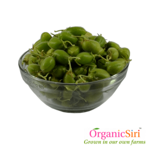 Organic Chana Green Pods