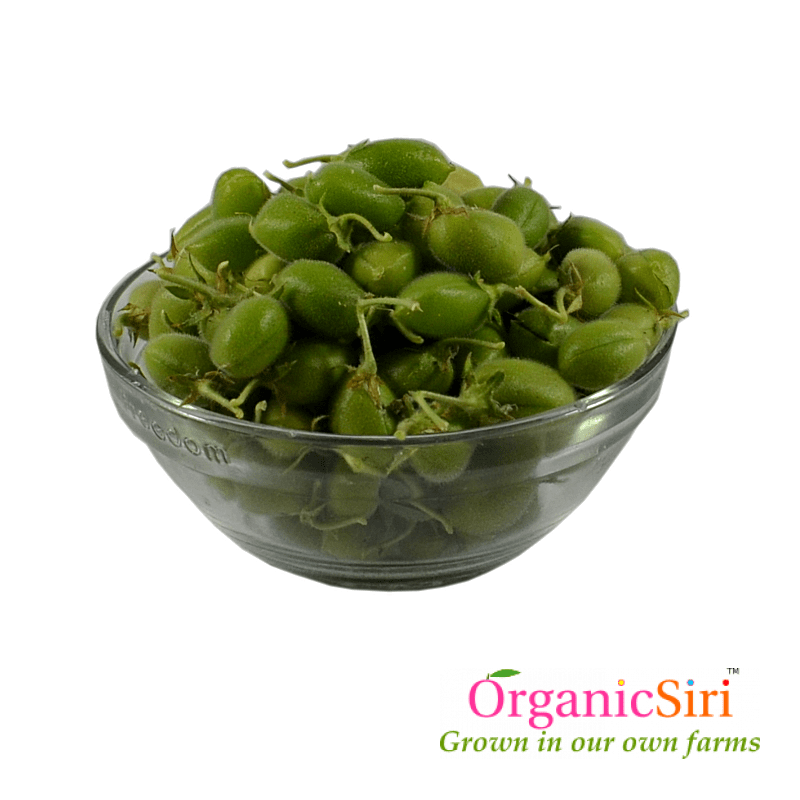 Sanaga Green Pods 500g 1 Organic Chana Green Pods