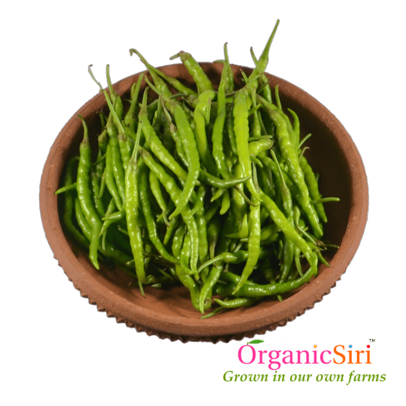 Mirchi Green 250g 1 Organic Chilli