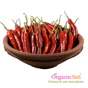 Organic Fresh Red Chilli