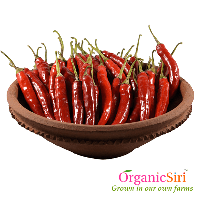 Mirchi Red Fresh 250g 1 Organic Fresh Red Chilli