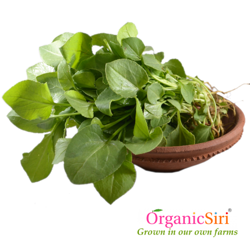 Chukka Kura 2bn 1 Organic Chukkakura
