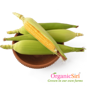 Organic Corn