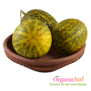 cucumber striped