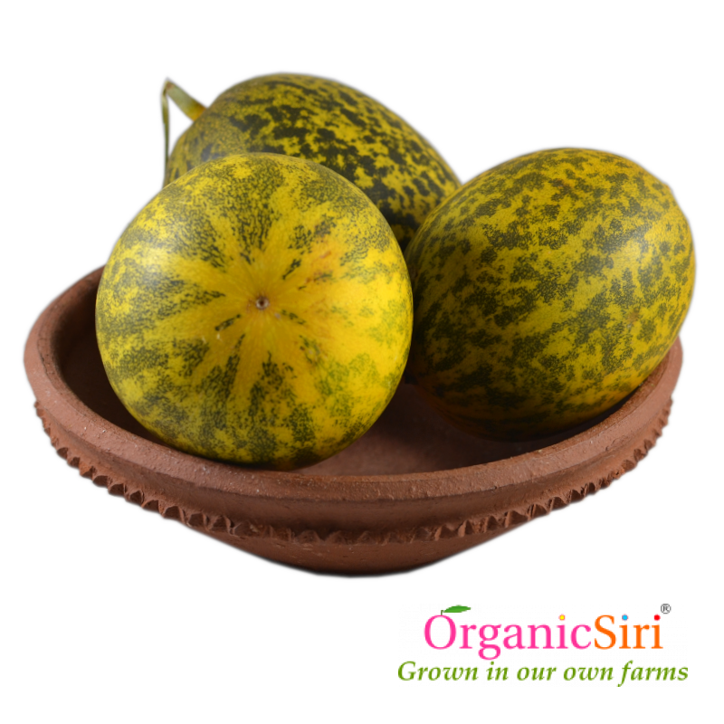 Cucumber Striped 500g 1 cucumber striped