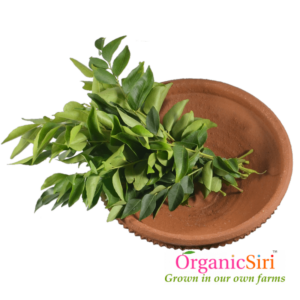 Organic Curry Leaf