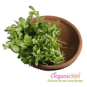 Organic Gangavayalu Kura