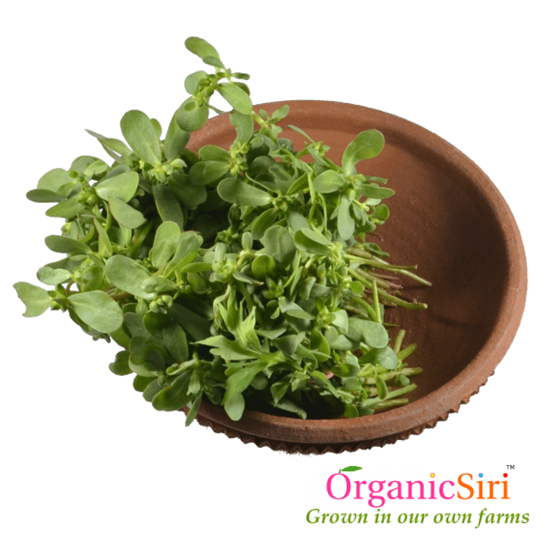 Gangavayalu Kura 2bn 1 Organic Gangavayalu Kura