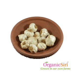 Organic Garlic
