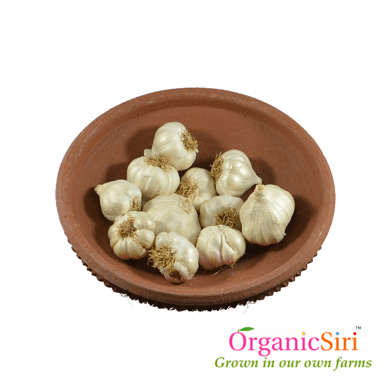 Garlic 250g 1 Organic Garlic