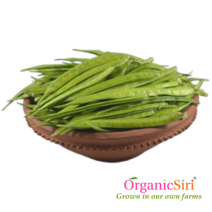 organic goruchikkudu