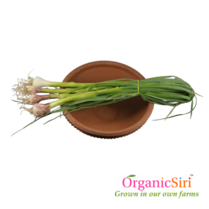 Organic Green Garlic
