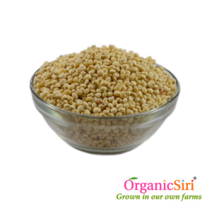 Organic Jowar