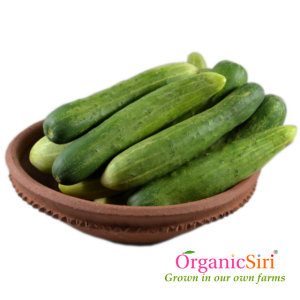 Organic Vegetables in Hyderabad - 3 reasons for limited supply 8 keera