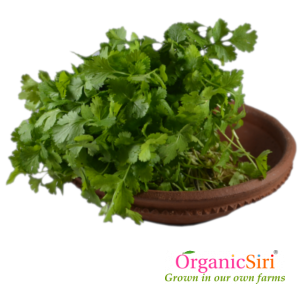 Organic Kothimeera
