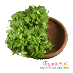 Organic Methi Leaf