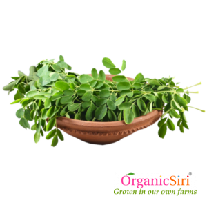 Organic Munagaku (Moringa leaf)