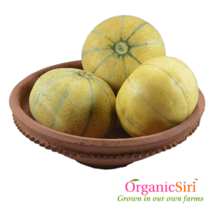 Organic Musk Melon