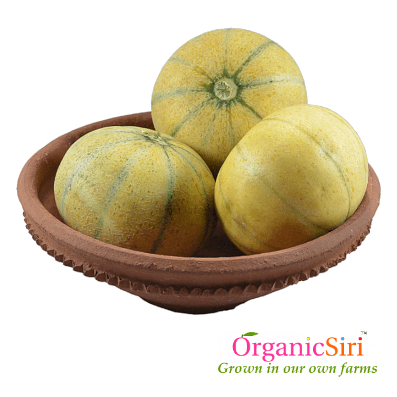 Musk Melon 1pc 1 Organic Musk Melon