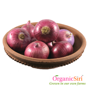 Organic Onion